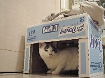 DSC00128_800x.jpg